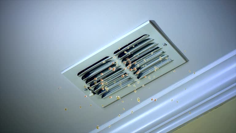 Best Professional Duct Cleaning Services  in White Bluff, TN
