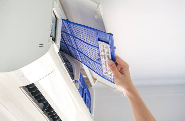 Best Air Duct Cleaning Near Me  in White Bluff, TN