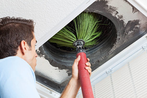 Best Air Duct Cleaning Near Me  in White Bluff, TN