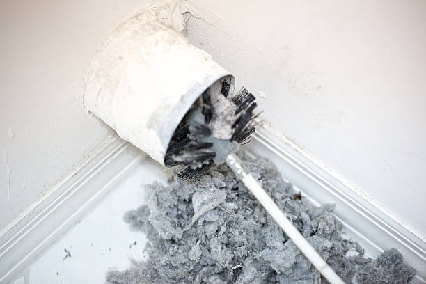 Best Dryer Vent Cleaning Services  in White Bluff, TN