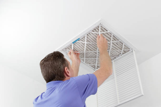 Best Air Duct Mold Removal  in White Bluff, TN